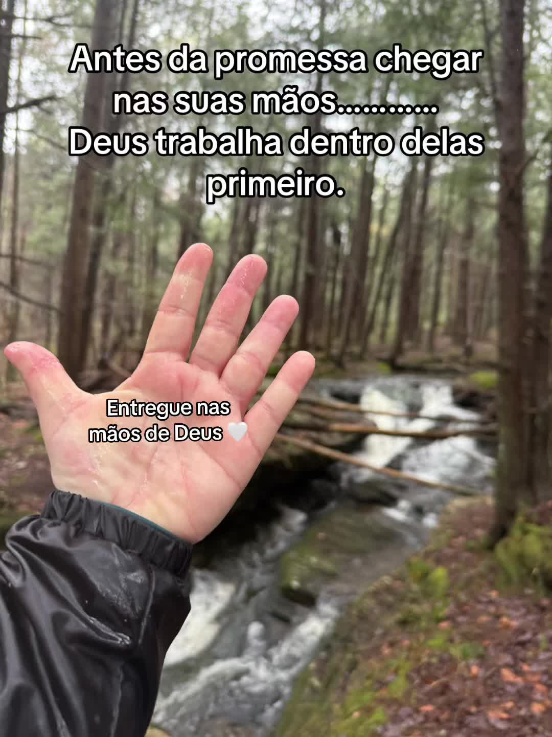 @Gracilda