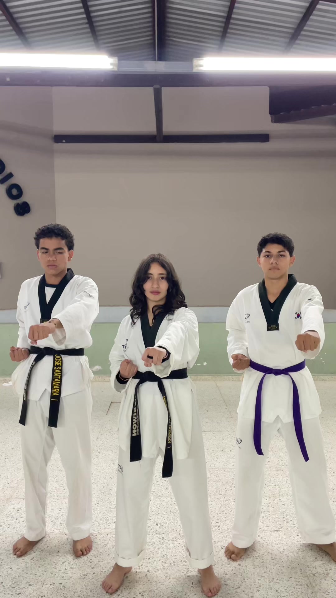 @Tizatillo🥋 Taekwondo ( IGLT )