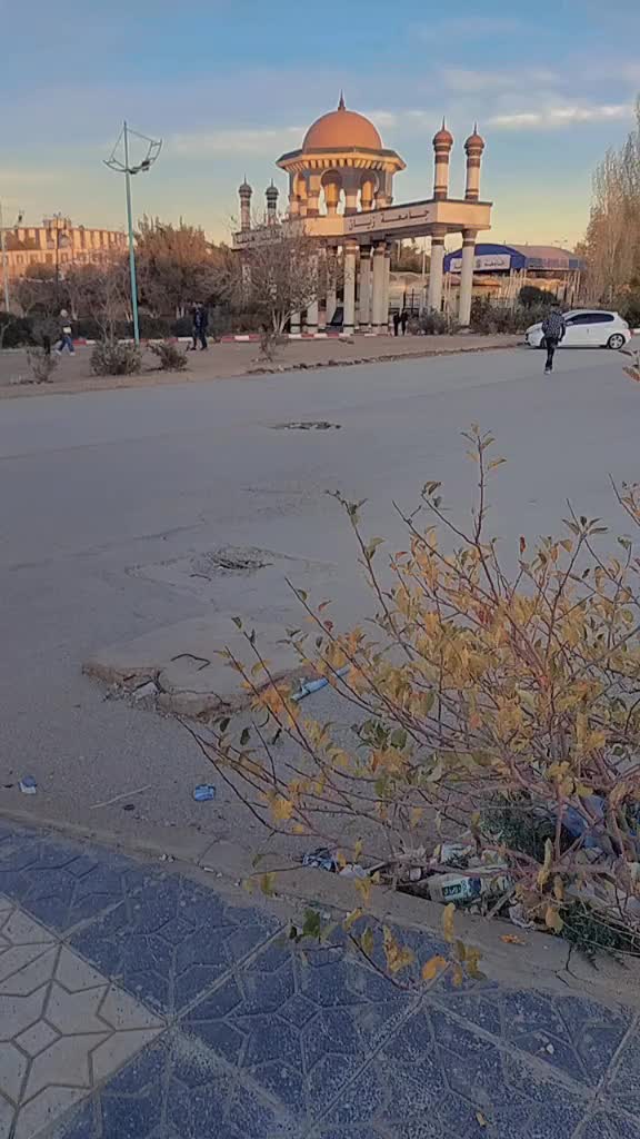 @ساعد جلفاوي