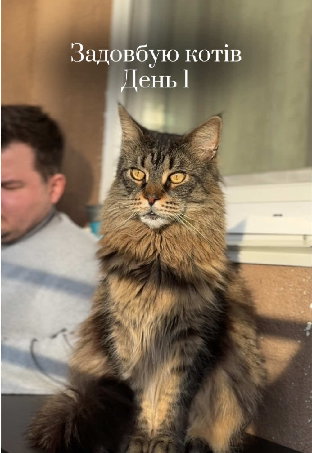 @Семенович