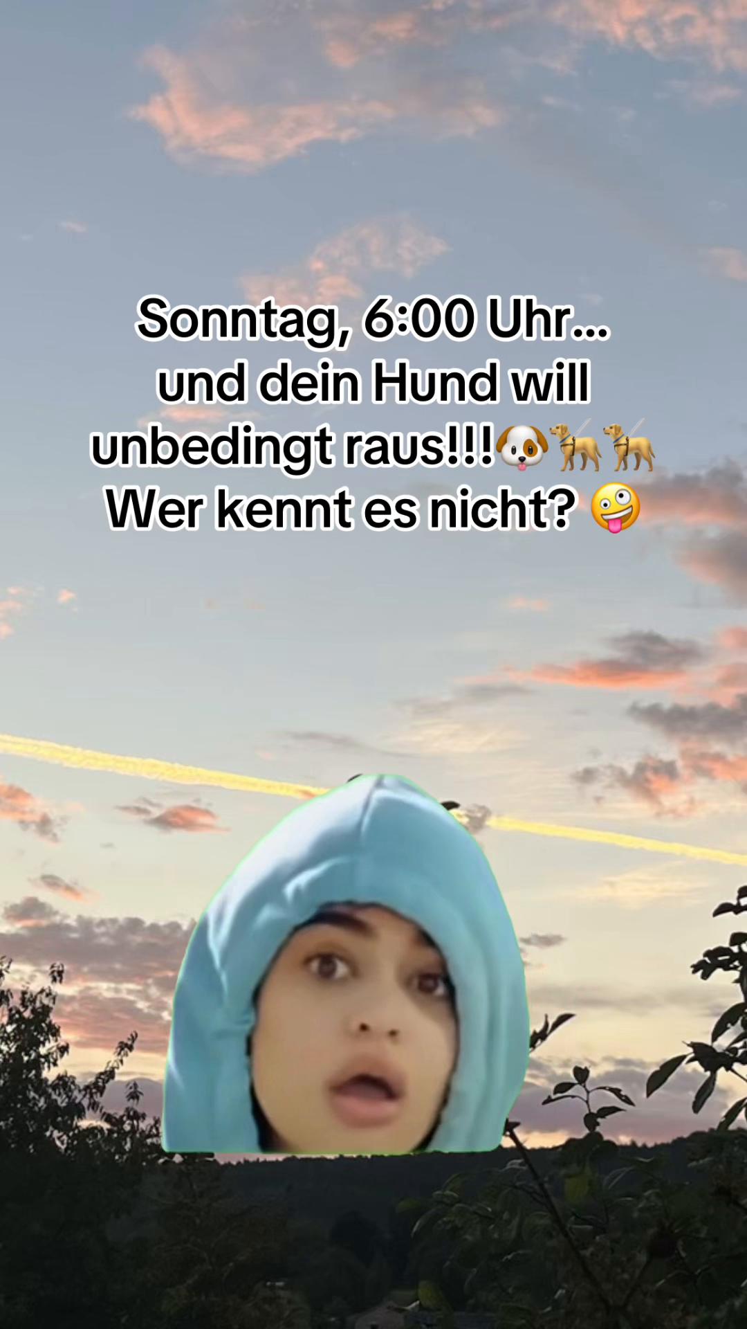 @Susi&ensp;Sorglos