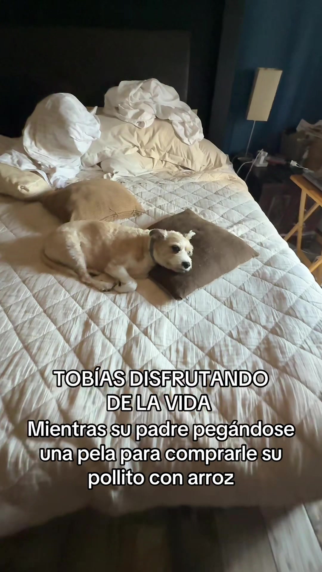 @Gabriel Itto