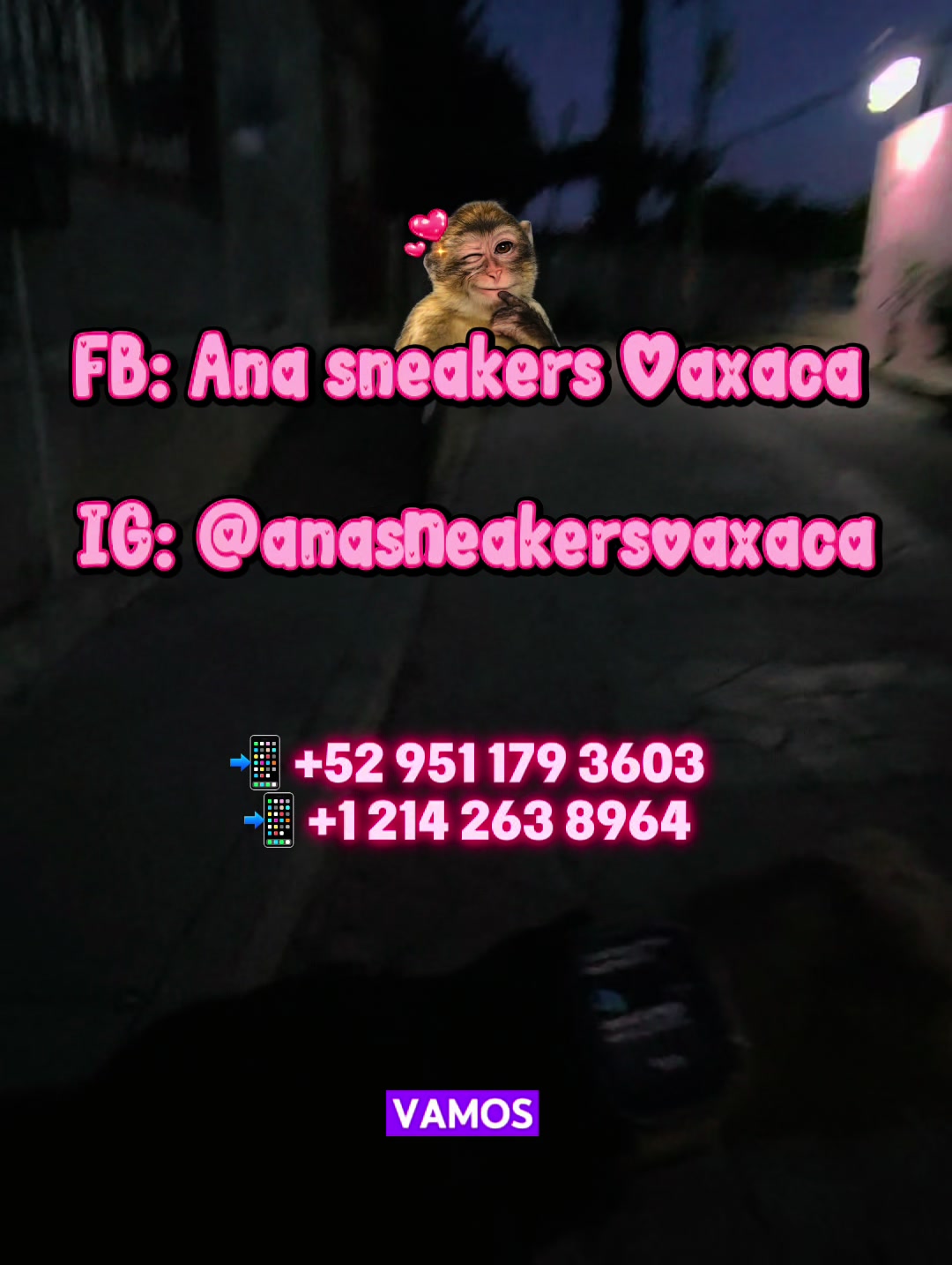 @Anna Paola Mateos