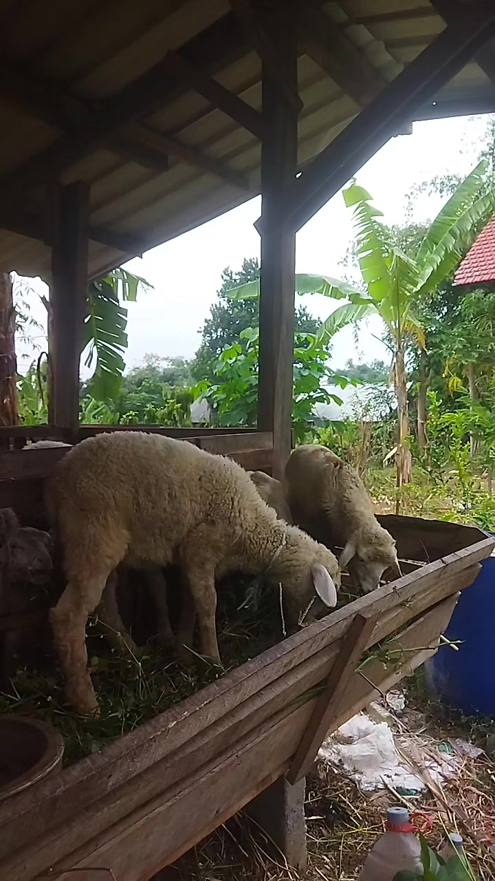 @I'm A Farmer