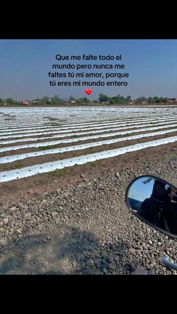 @Ex&oacute;tico RJ