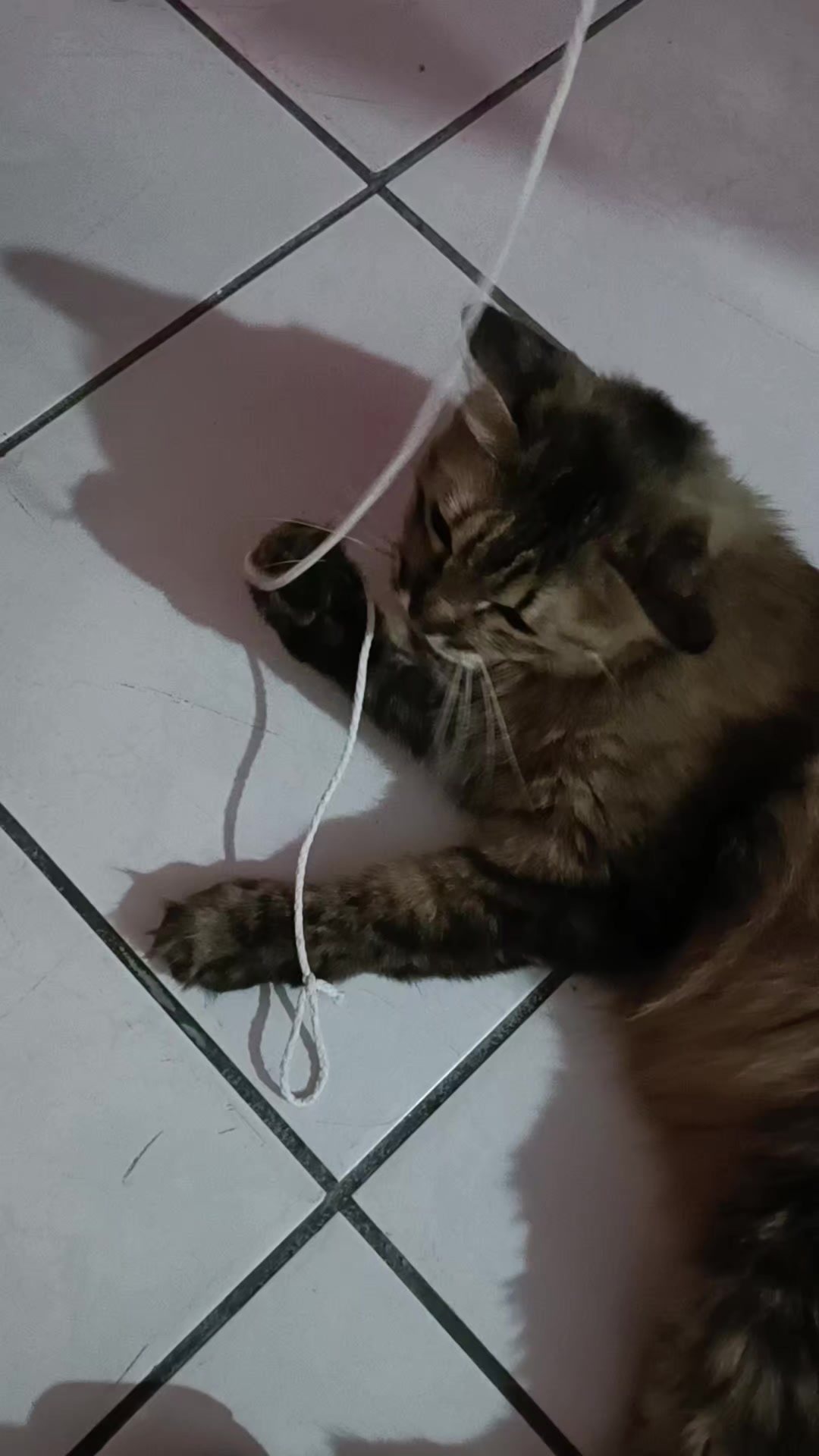 @negrita y peluche