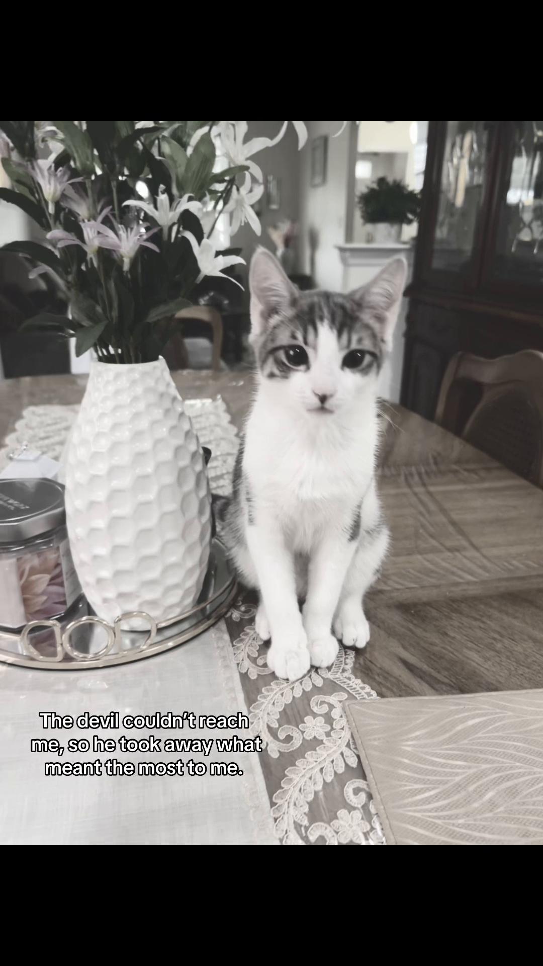 @️