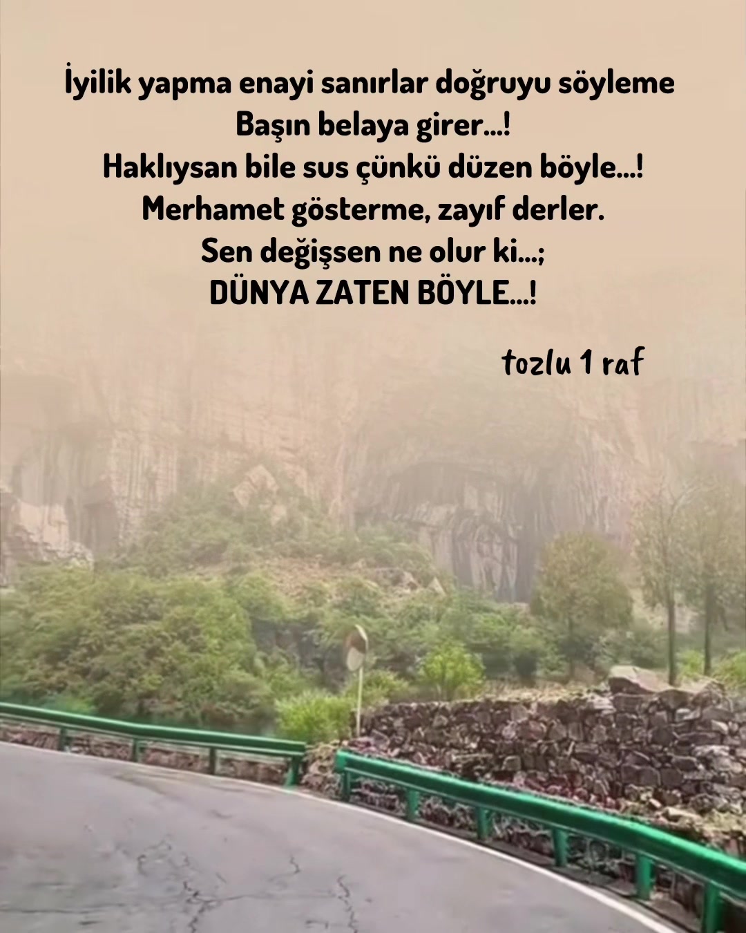 @tozlu1raf_