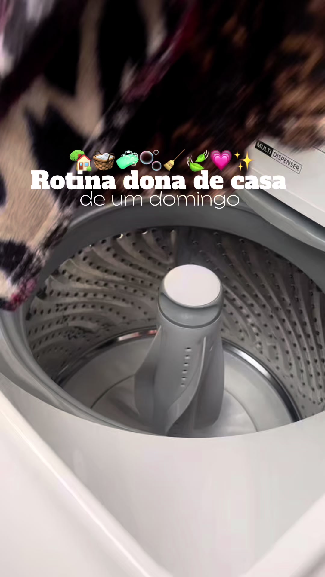 @Dany | Casa & Rotina