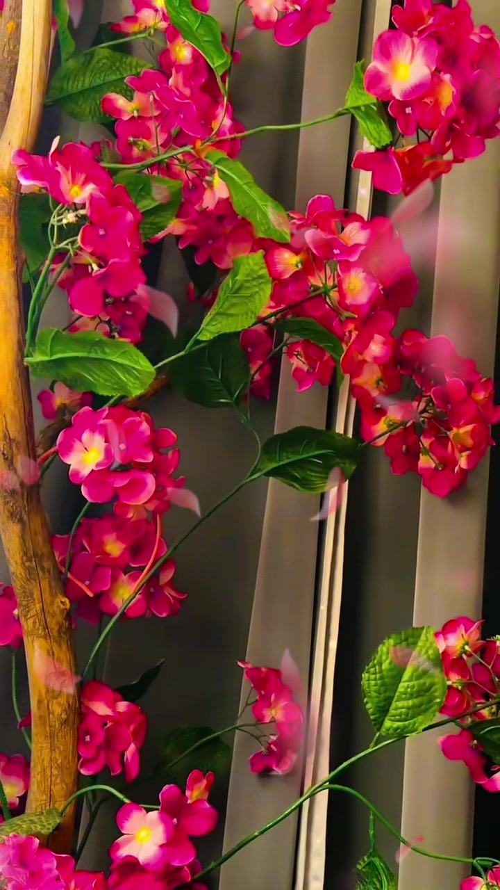 @786ami786