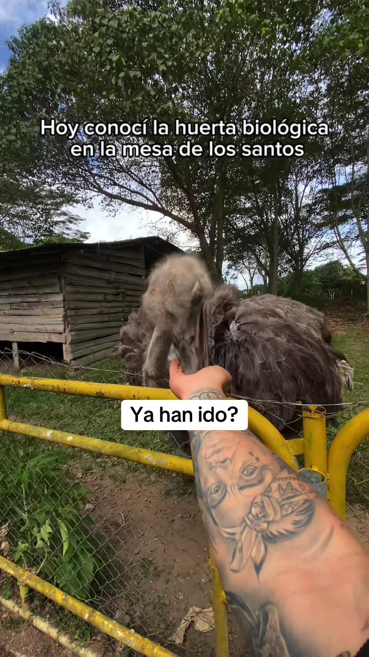 @BiuganTG