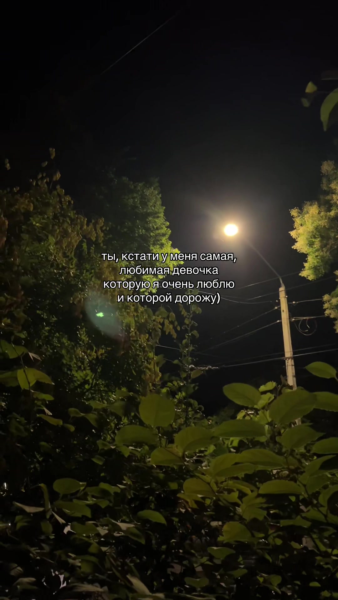 @кис кис💗