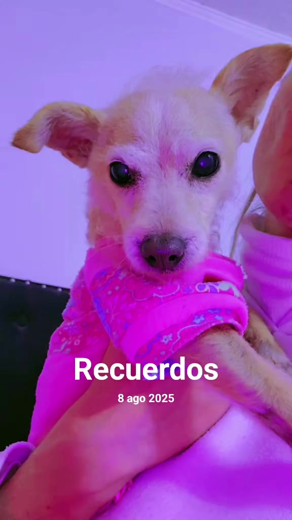 @nati