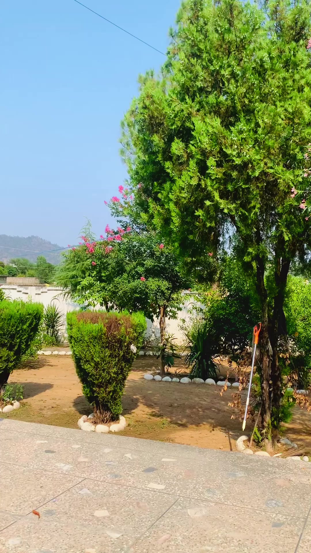 @imranjatt434