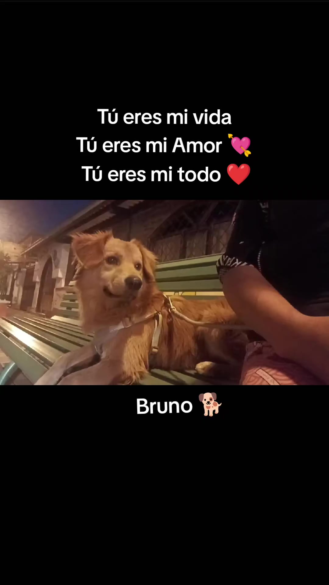 @Magui Tapia ✨️
