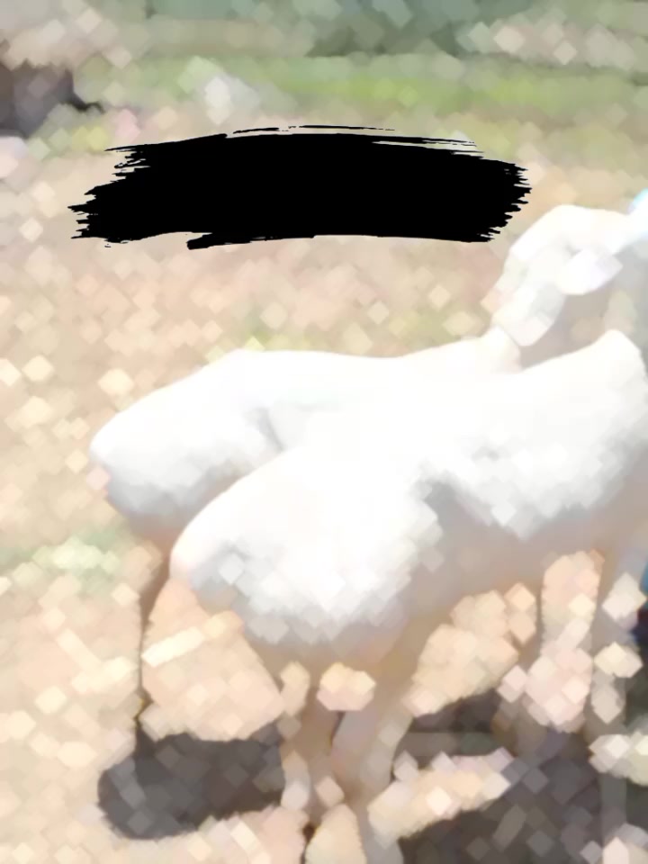 @𓆩💜𓆪𝔣ⲉąɹḽⲉᶳᶳₖǐᵑ𝐠𓆩💜𓆪