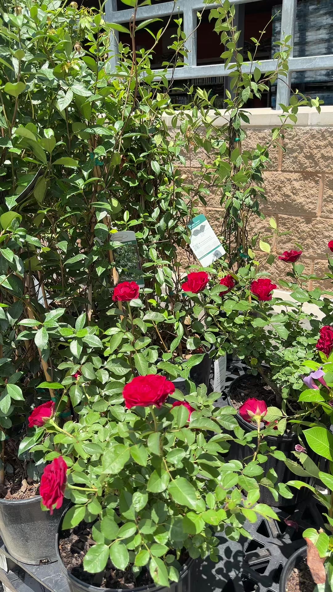 @ھير سنڌي🦋