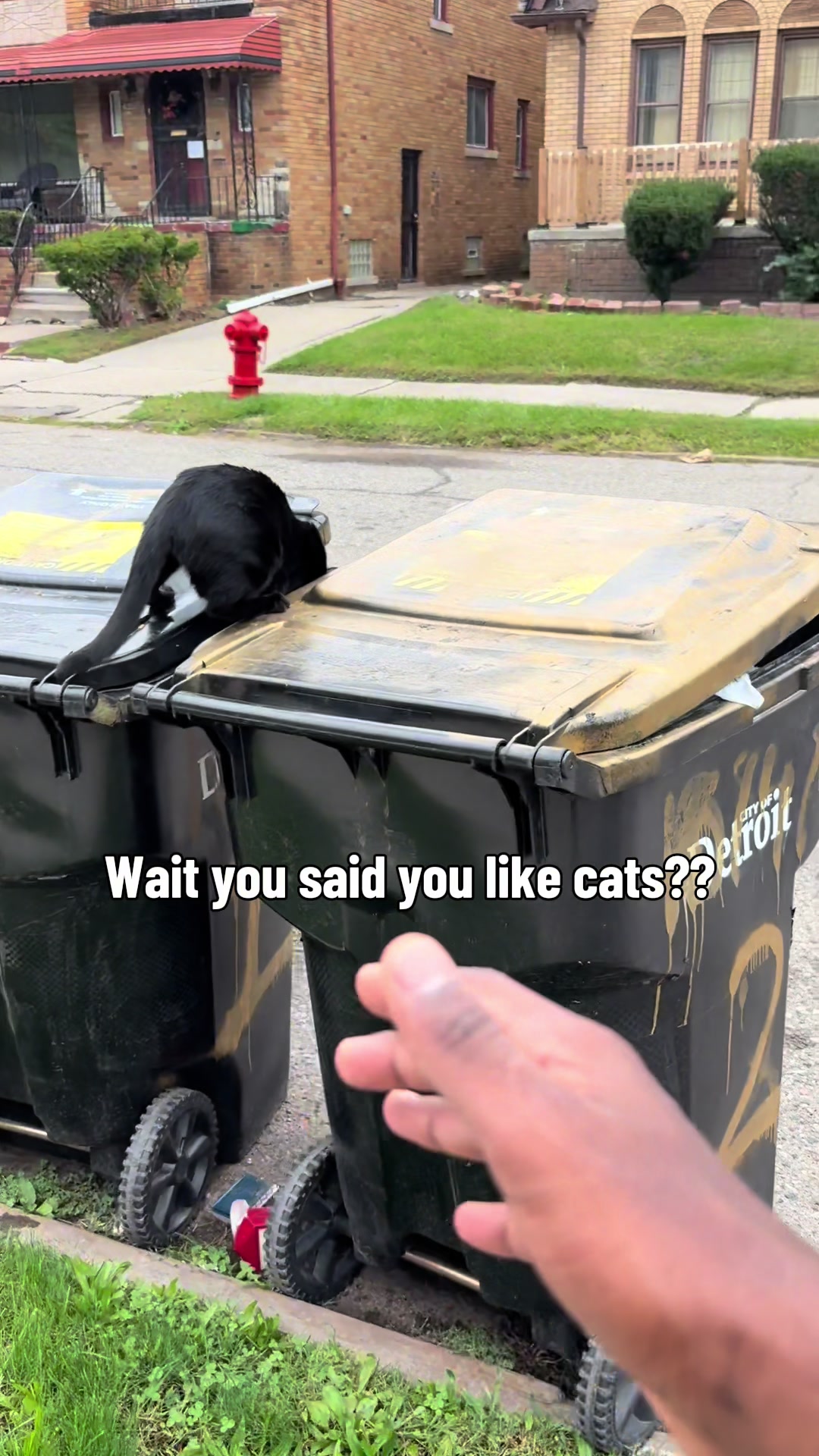 @mrwalkshitdownnn