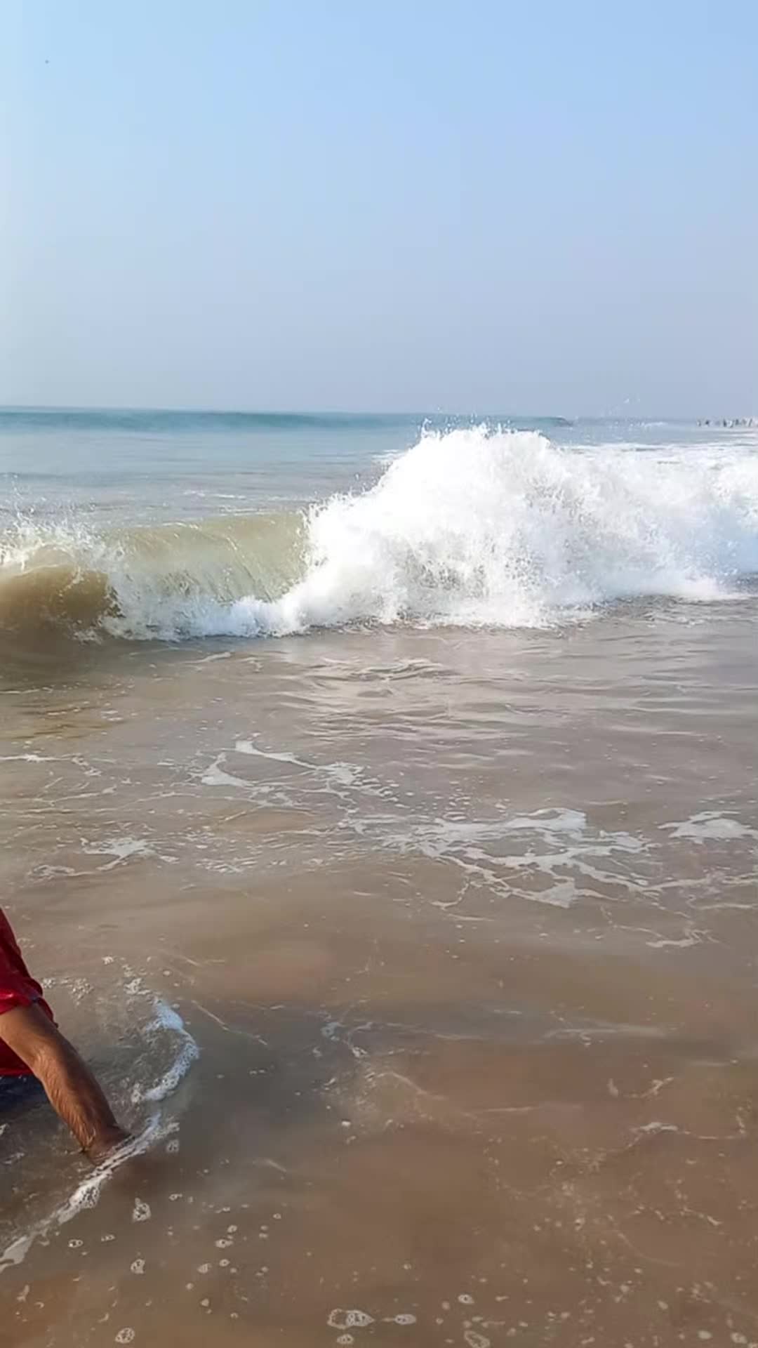 @subhalaxmi saree  calecsoin