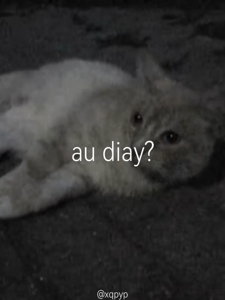 @Mono.