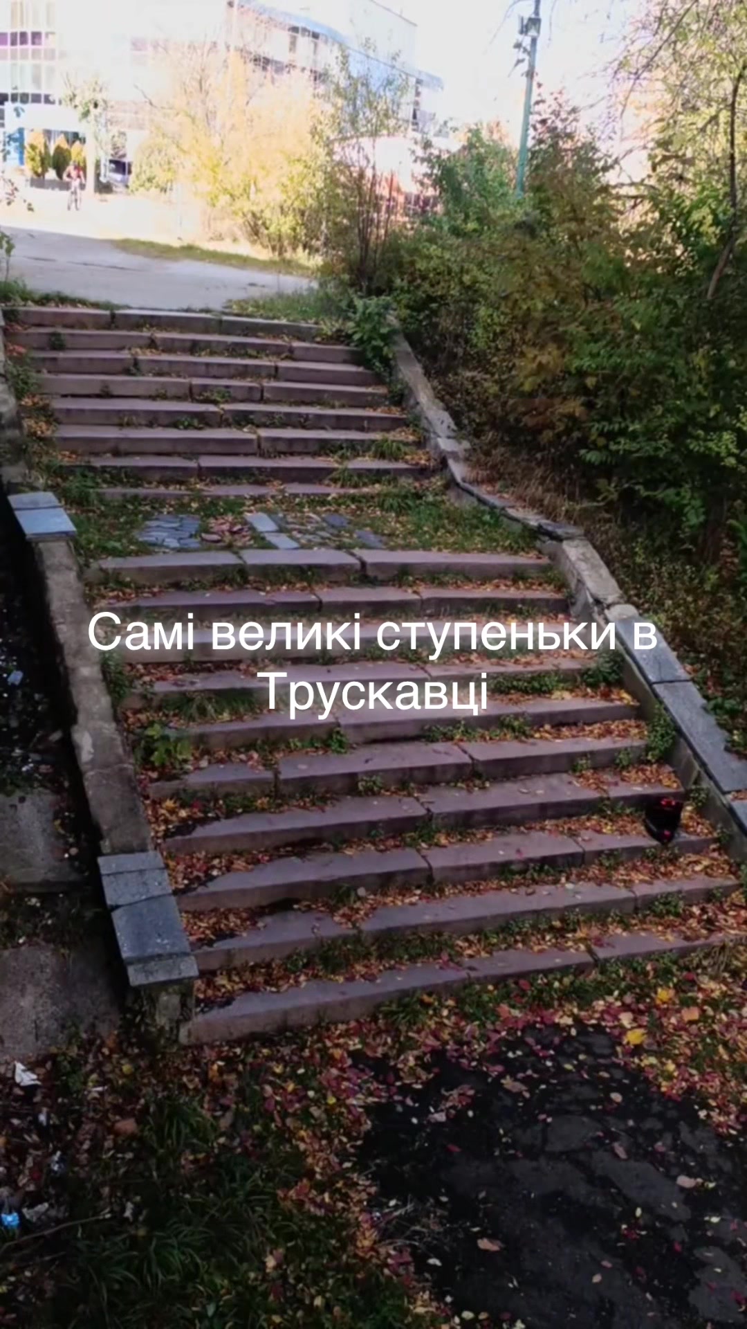 @bergamont_diorter