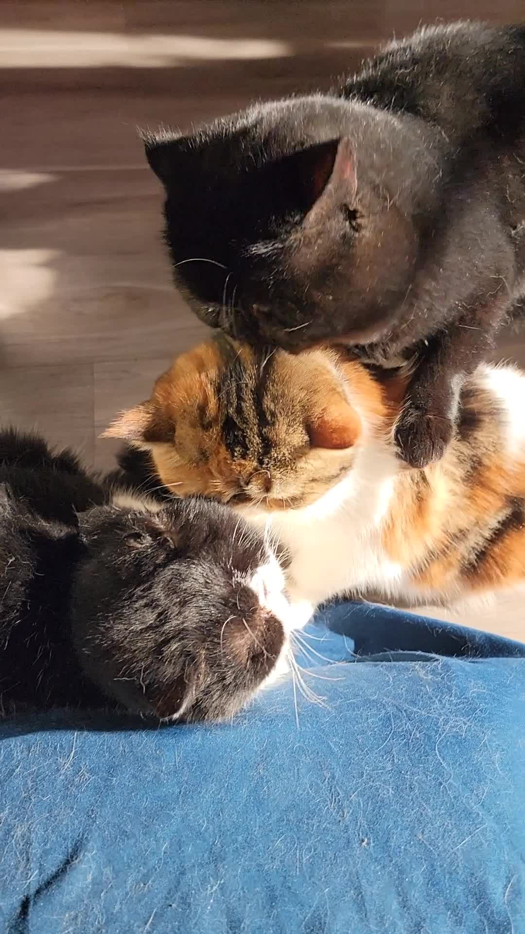 @Ryan
