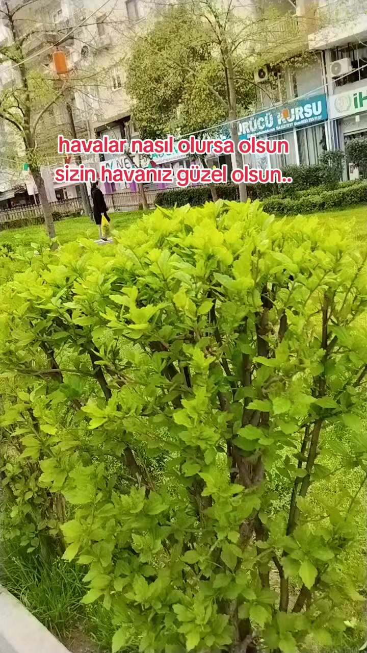 @🇹🇷͜͜͡͡✯YüReĞi GüZeL🇹🇷͜͜͡͡✯