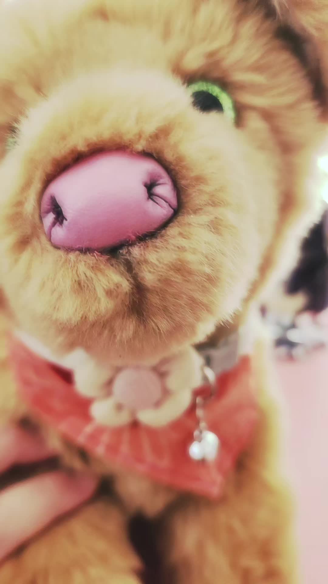 @๐ป Autistix Shiba ๐ณ๏ธ๐
