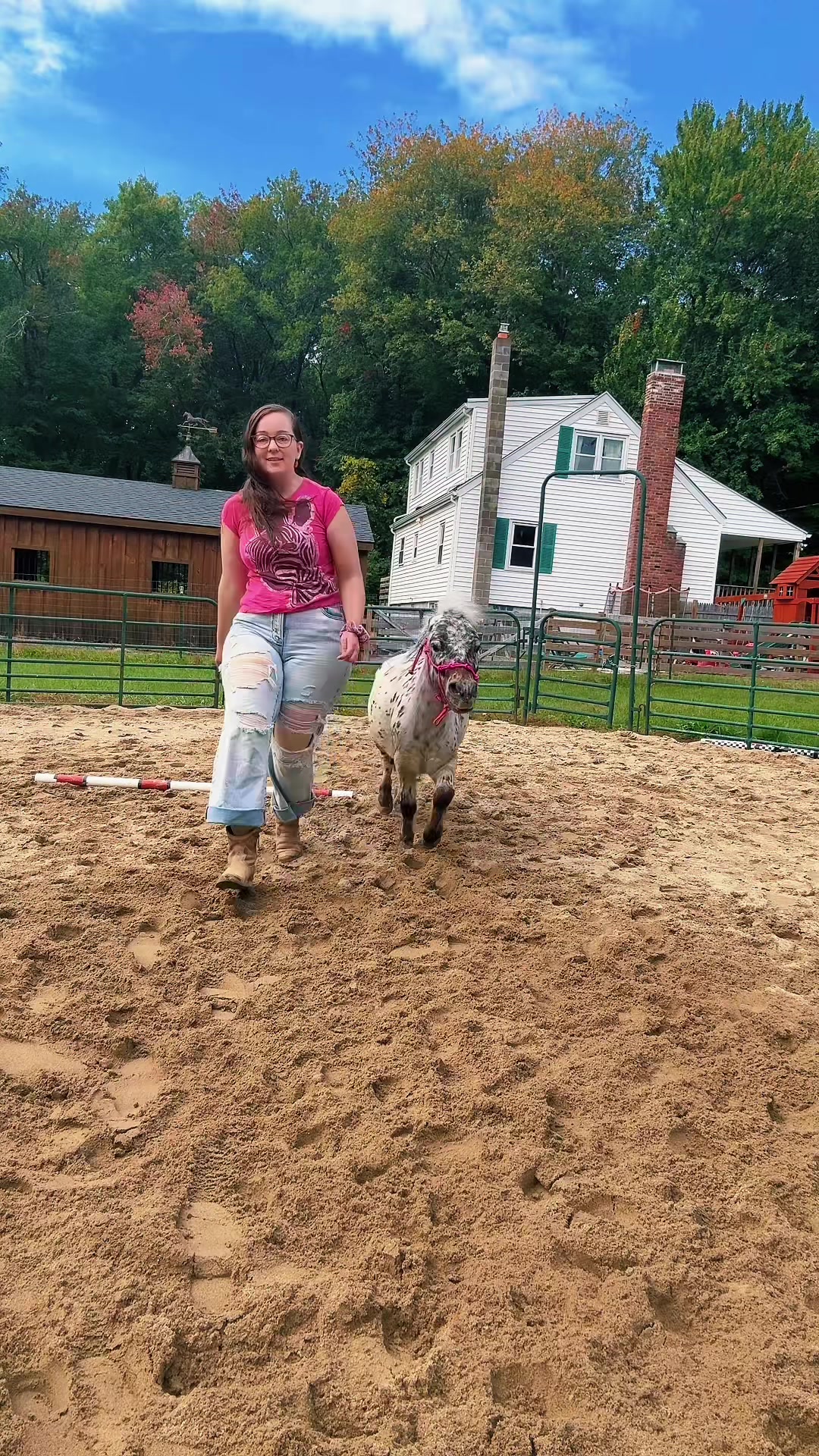 @Maxwell Farms