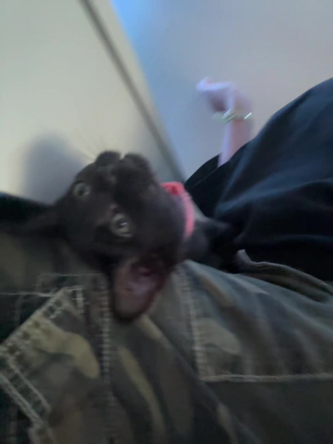 @brennannn