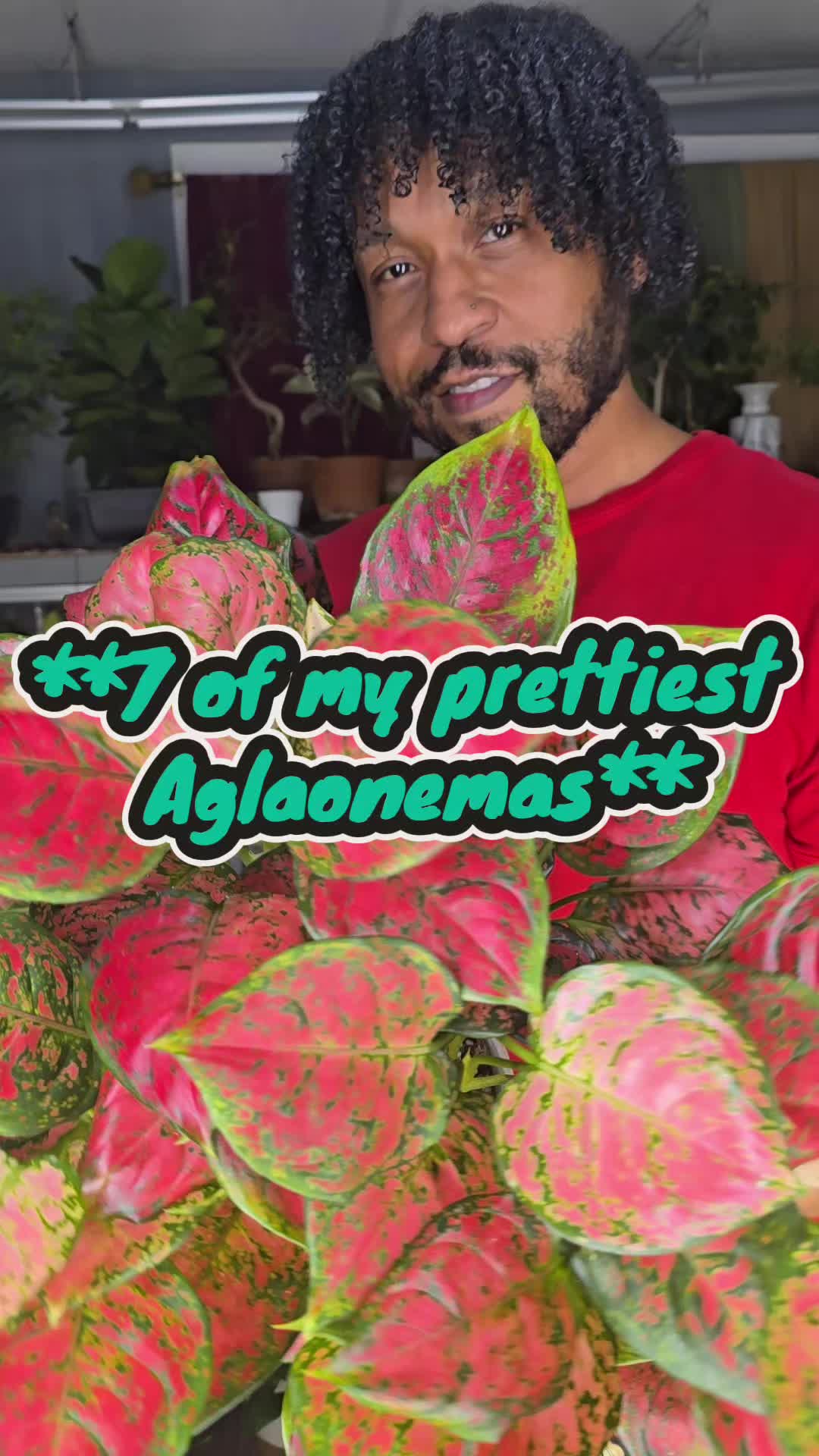 @JT - BigEGOPlants