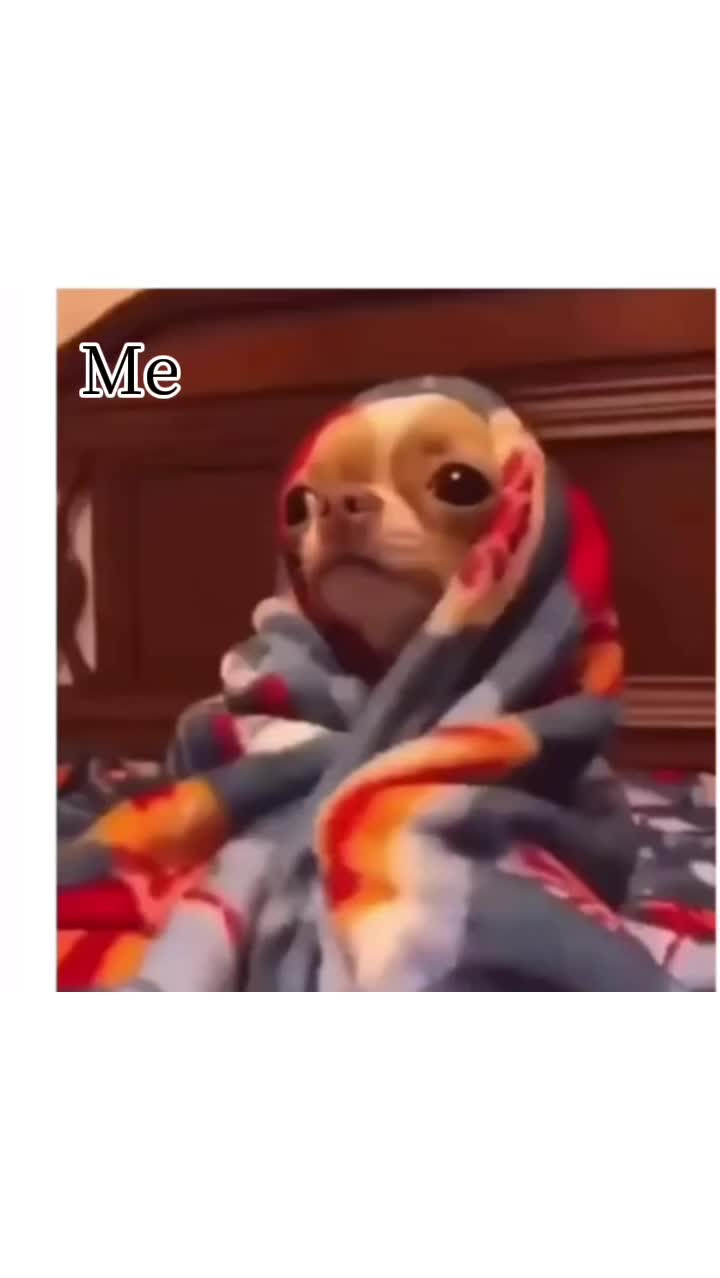 @( . _ .)