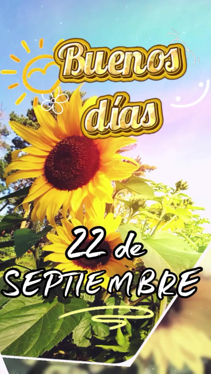 @Arely Mendoza Frases bonitas