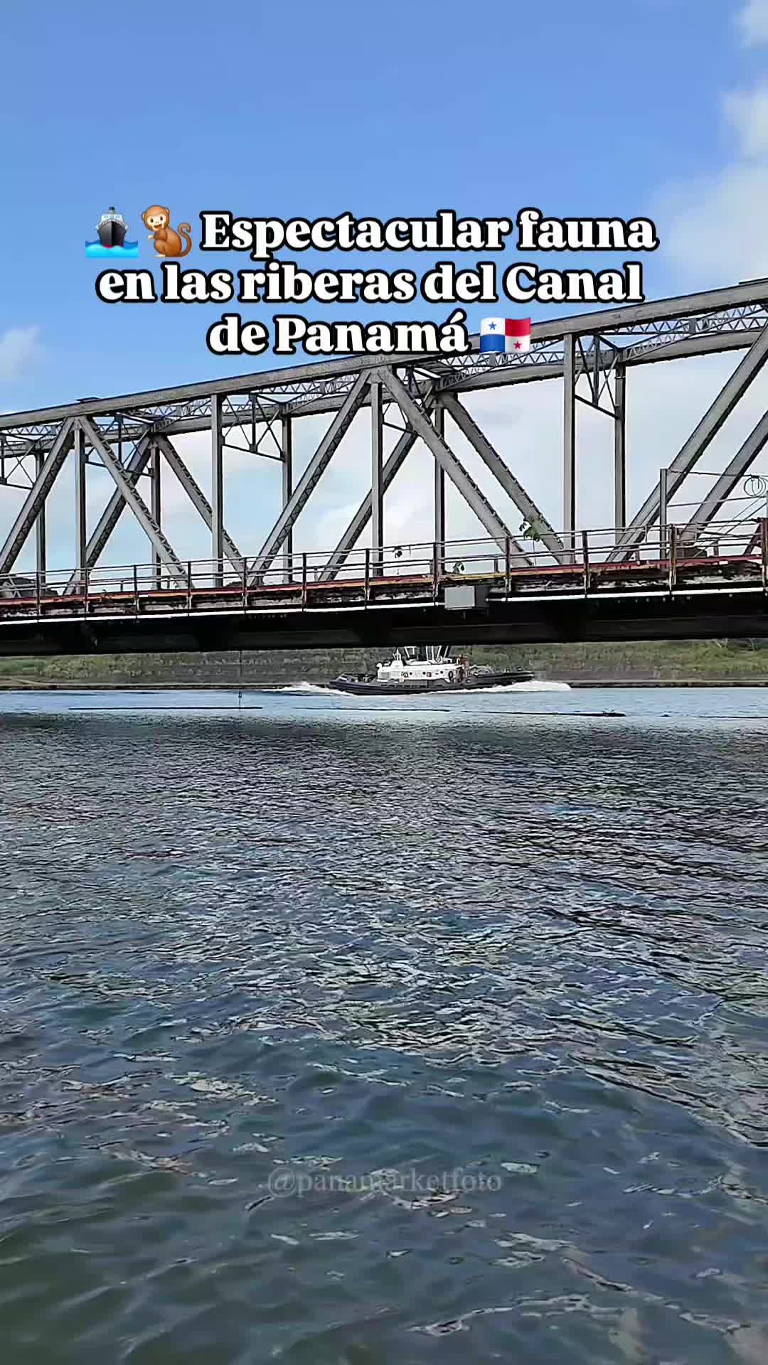 @Panamarket Foto