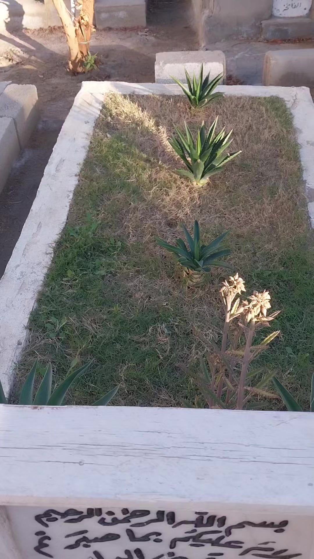 @الأميال للزيوت والفلاتر