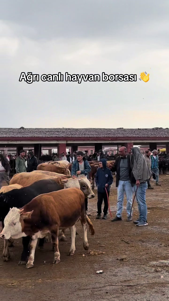 @🦅 yusuf yıldırım 04 🦅