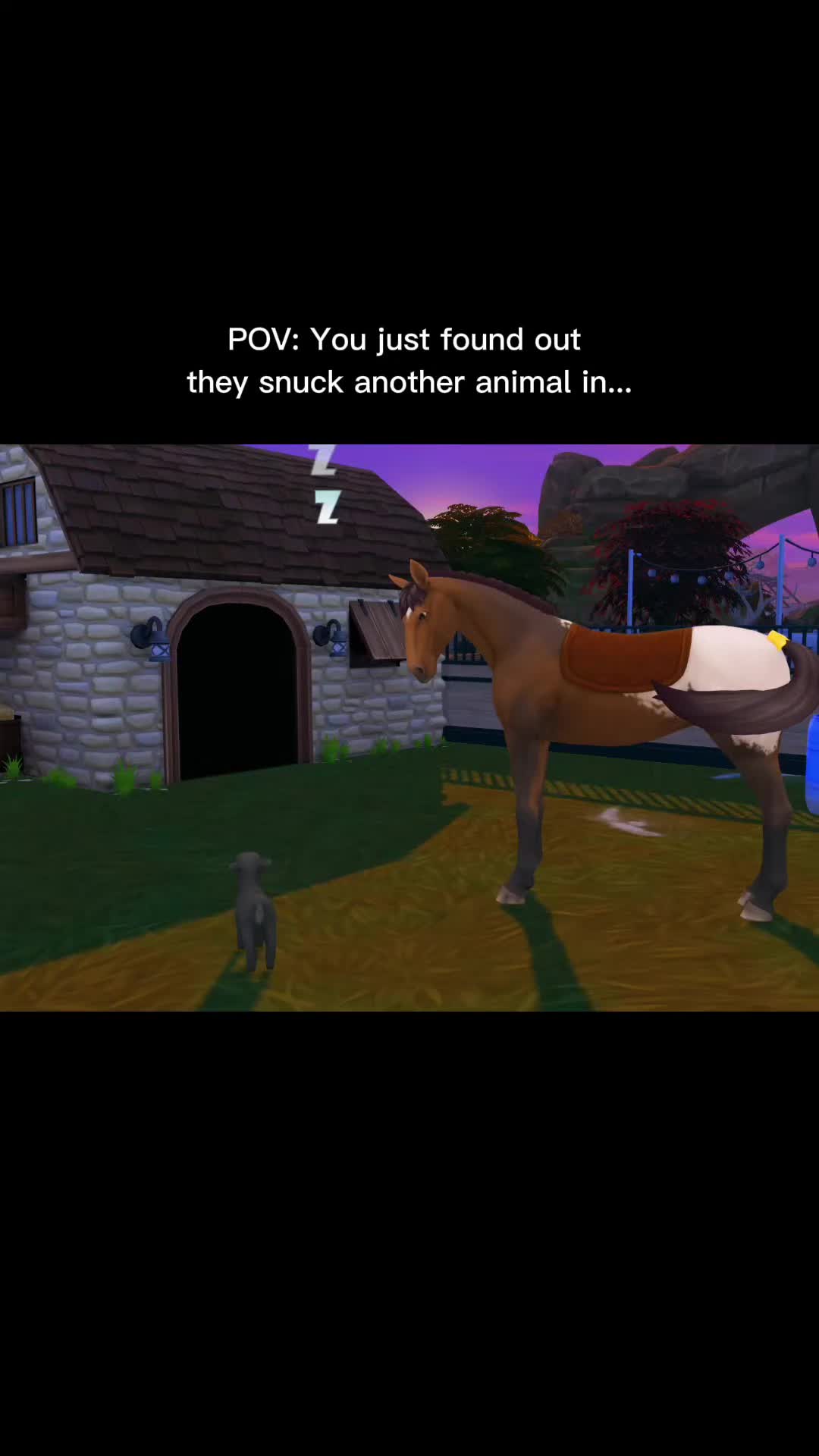@Sims4Joy
