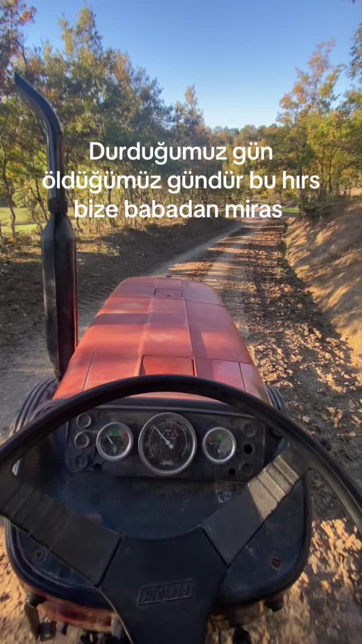 @Mertcan Altay17
