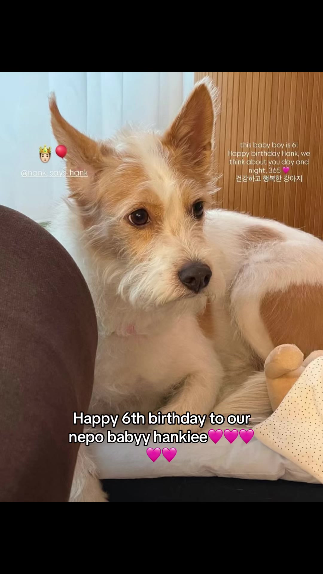@𝘔𝘢𝘳𝘨𝘢𝘳𝘦𝘵