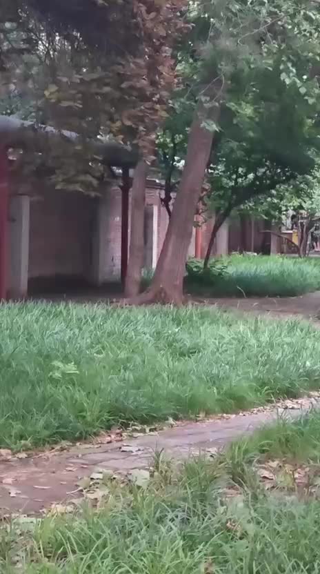 @Funny