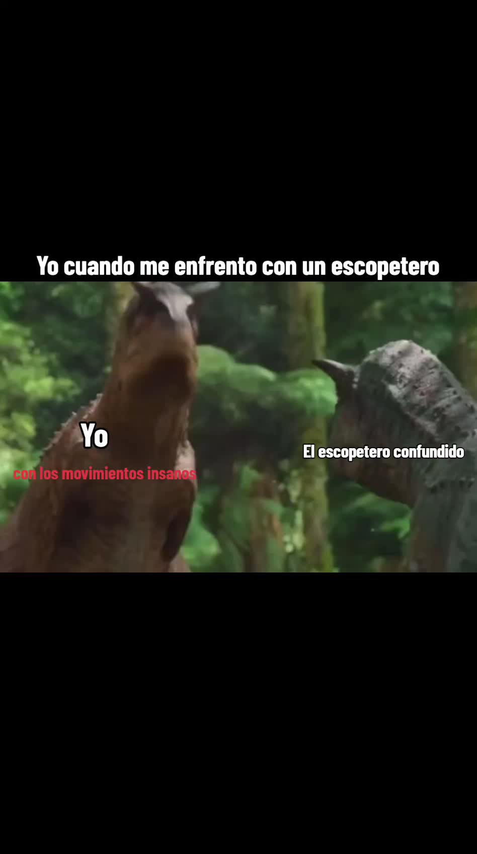 @۞ঐMorenitaঐ
