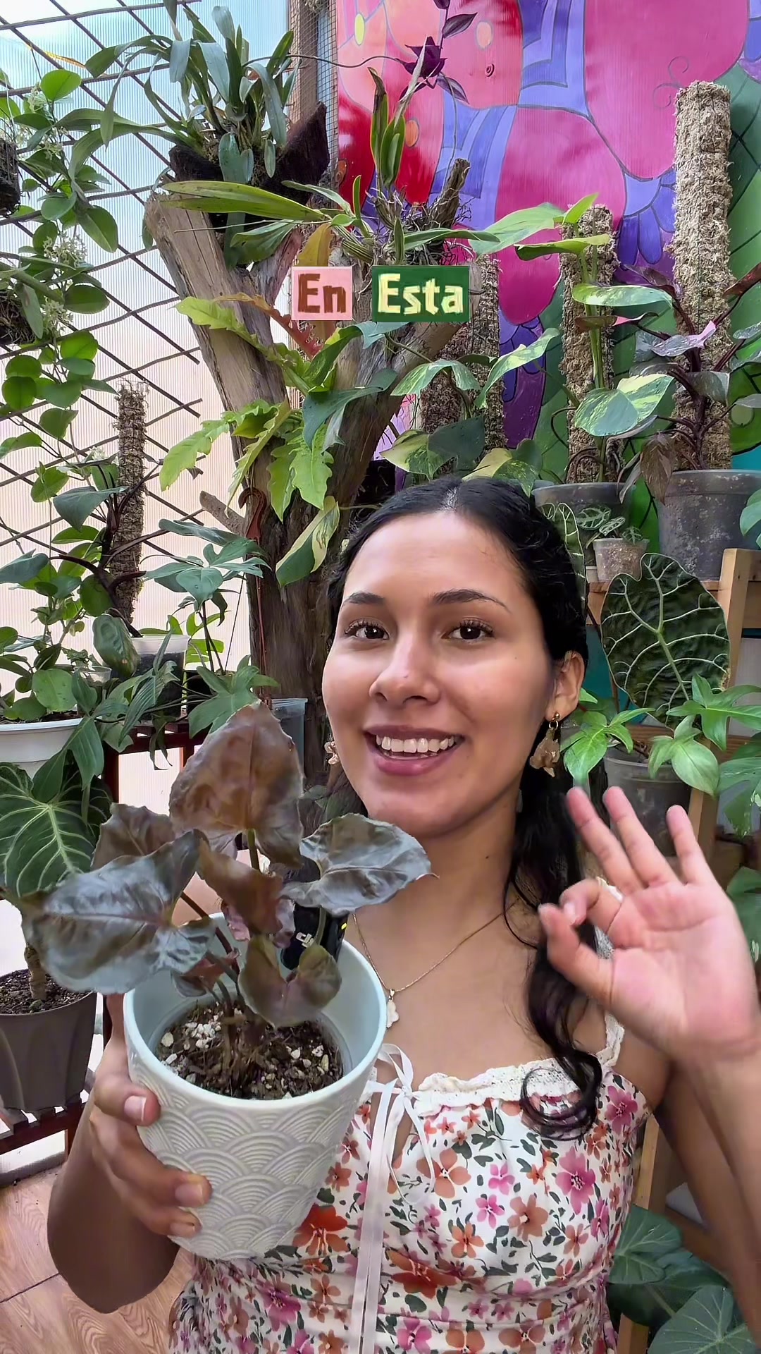 @arianacarrascolopez