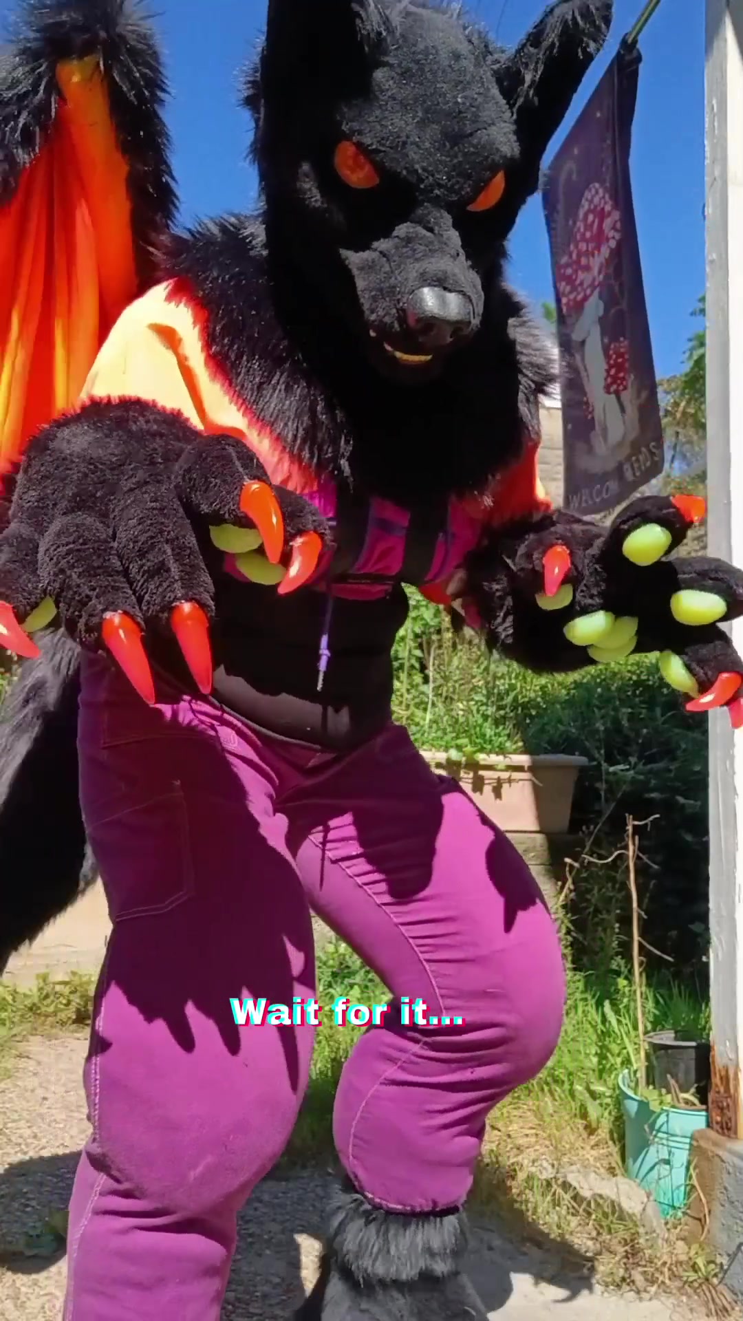 @🐈⬛ Steel City Street Cat 🏙️