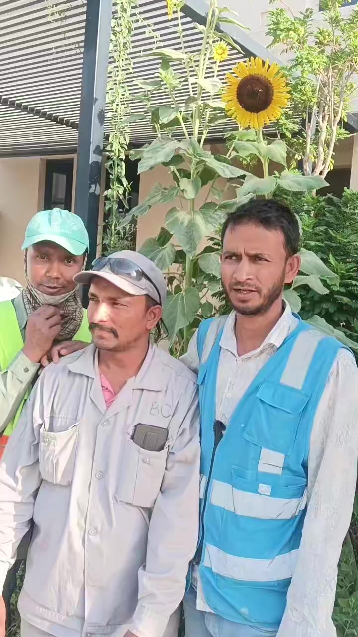@লিটন