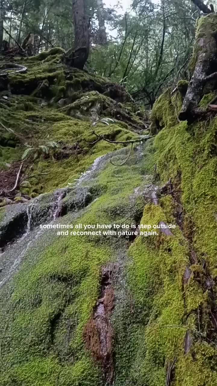 @Humbled.me 🌲PNW Gardener