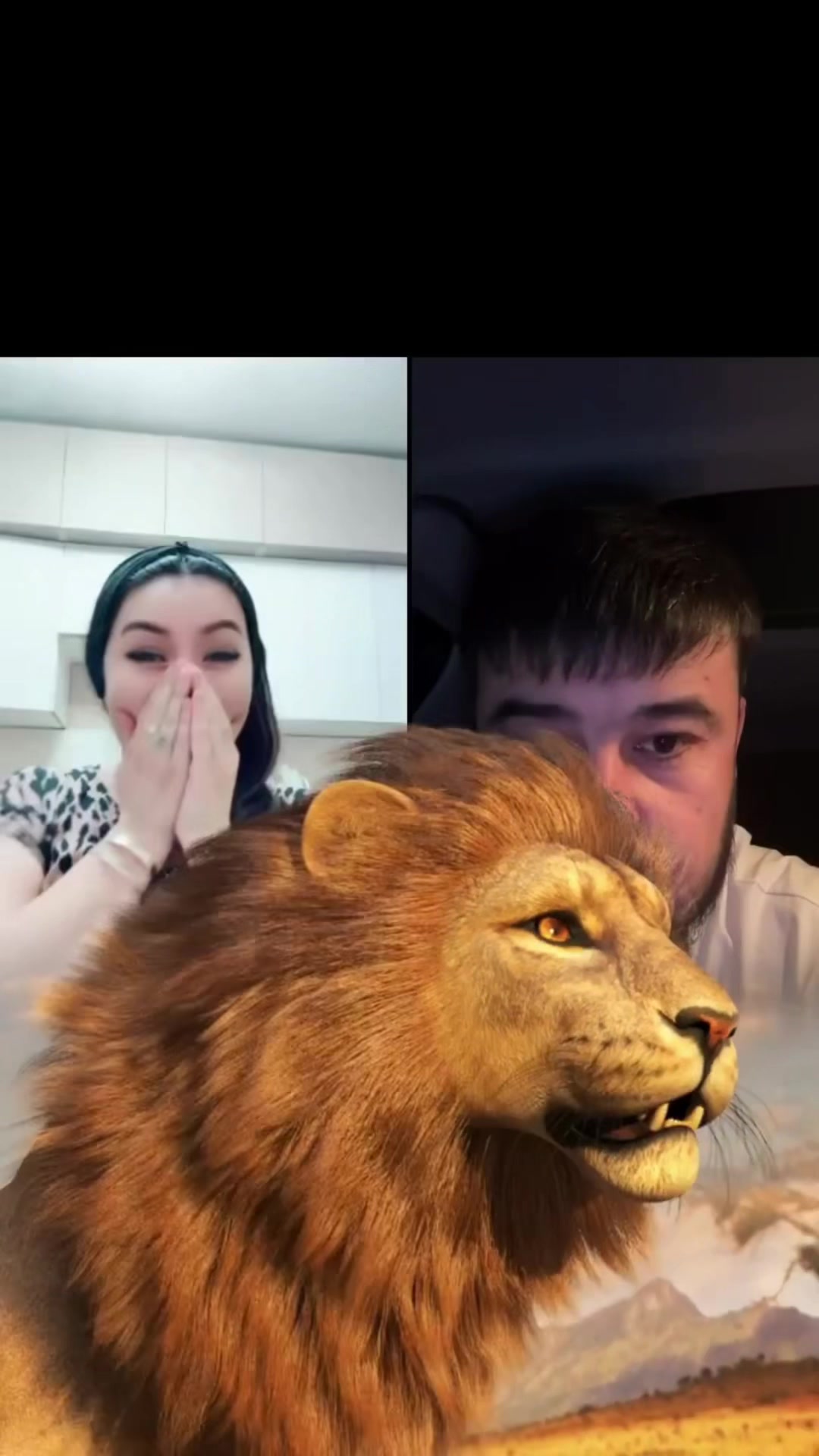 @Uzbechonok