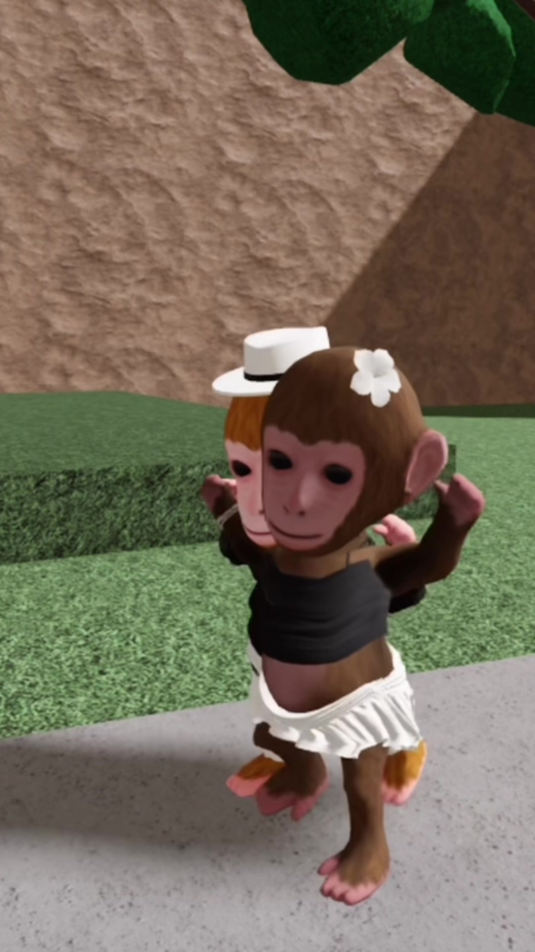 @MonkeyTok