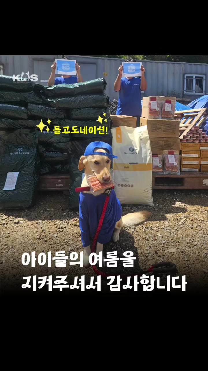 @🐶🐶엄지맘🦮🐕&zwj;🦺🐩