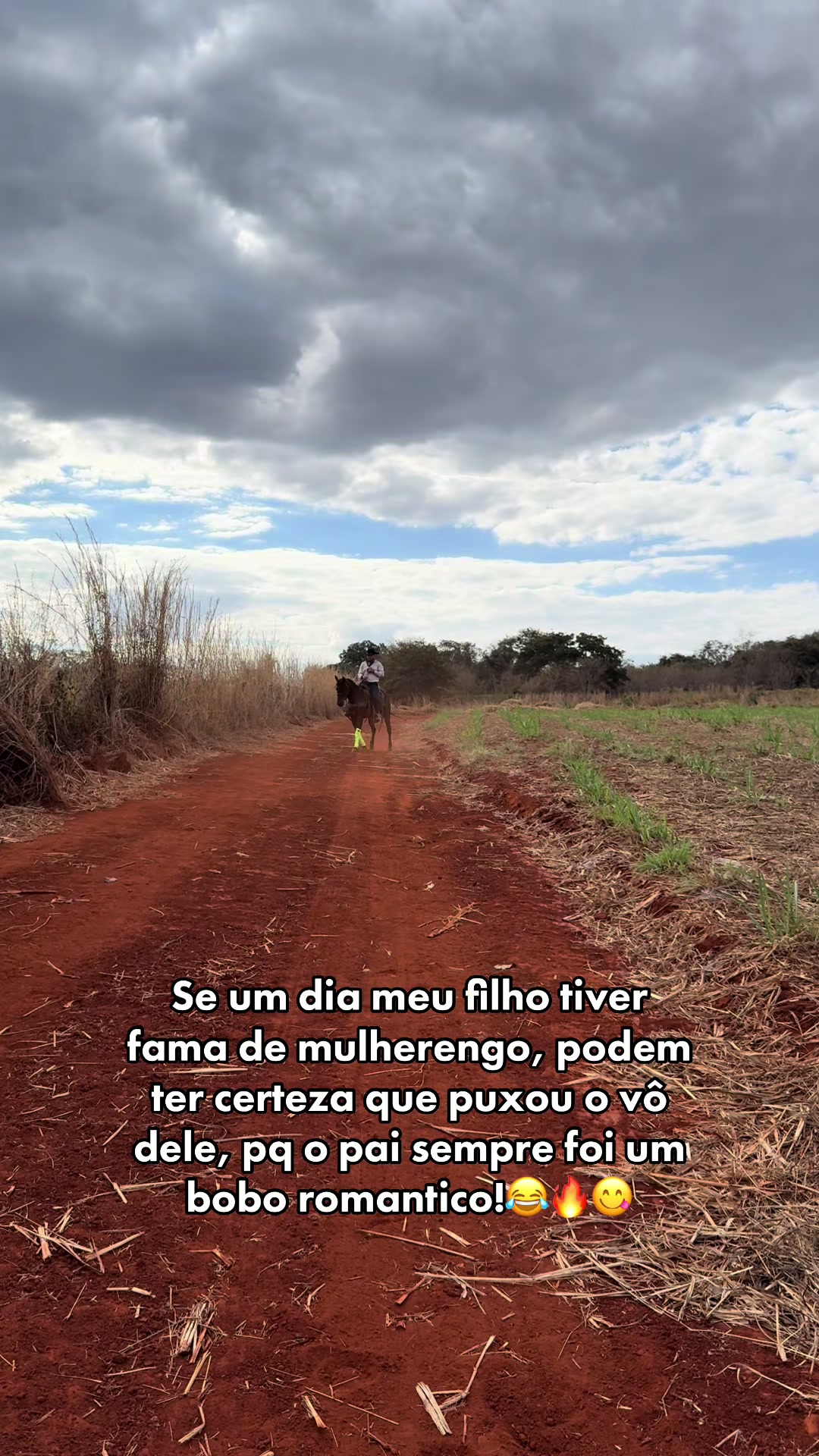 @mateusandrade9837