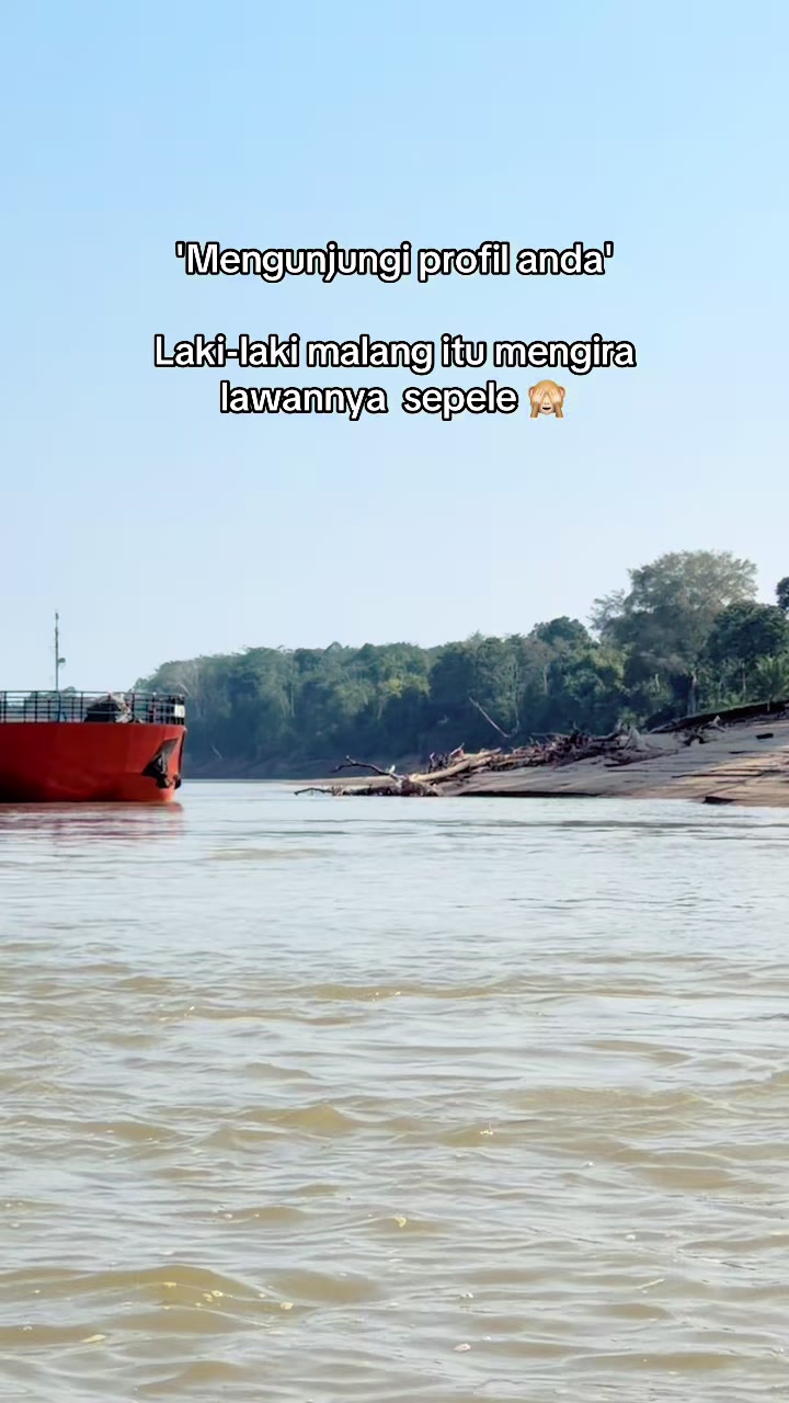 @Pesut_Mahakam95🐳